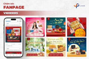 ảnh bìa thể hiện các mẫu post social của dự án VNHerbs