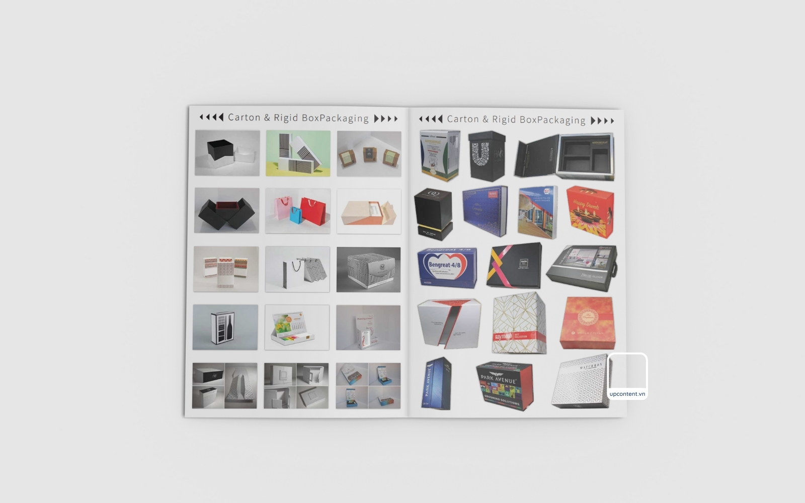 2 trang mẫu profile công ty in ấn hộp