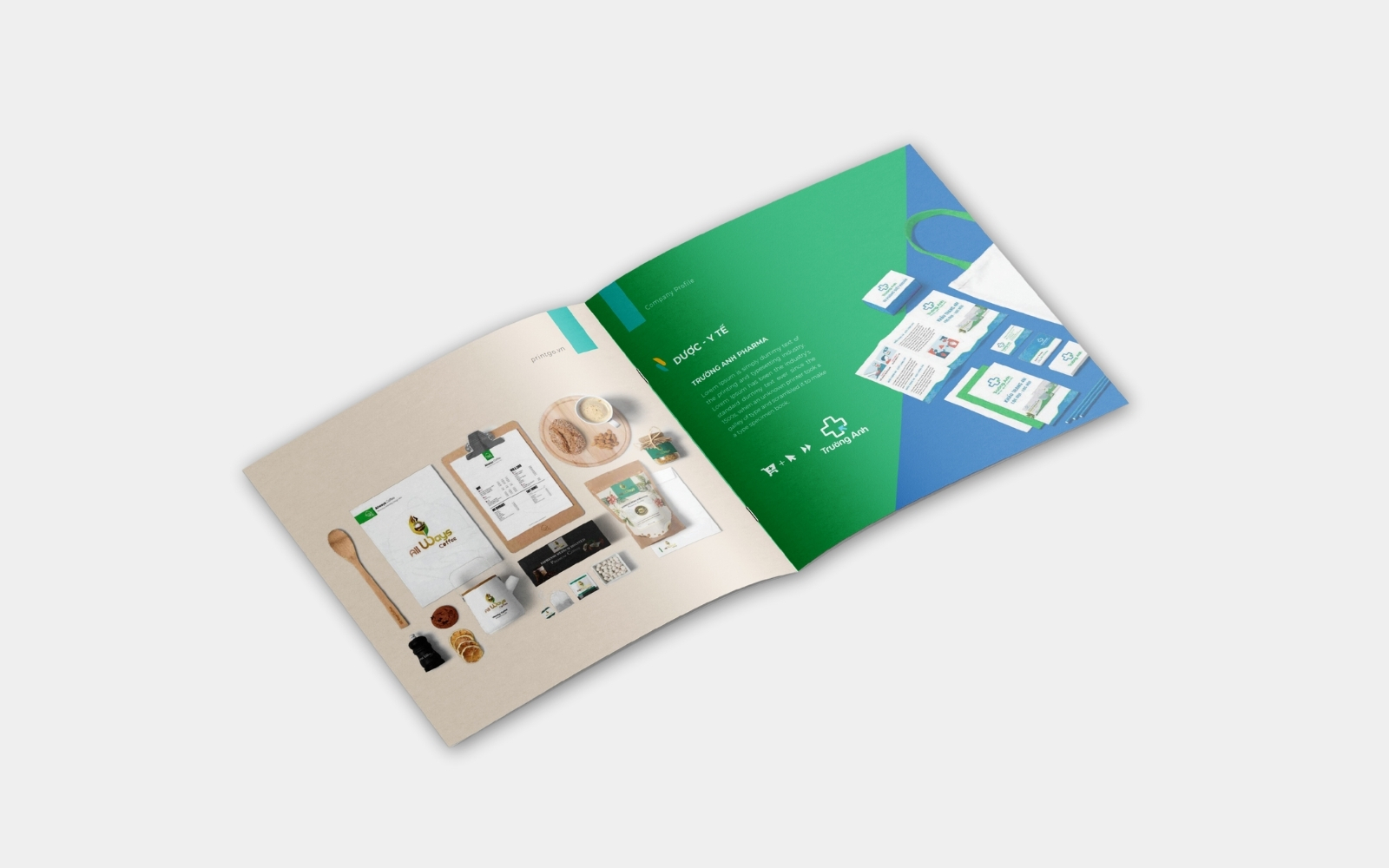 2 trang nội dung mẫu profile năng lực công ty in ấn phẩm truyền thông