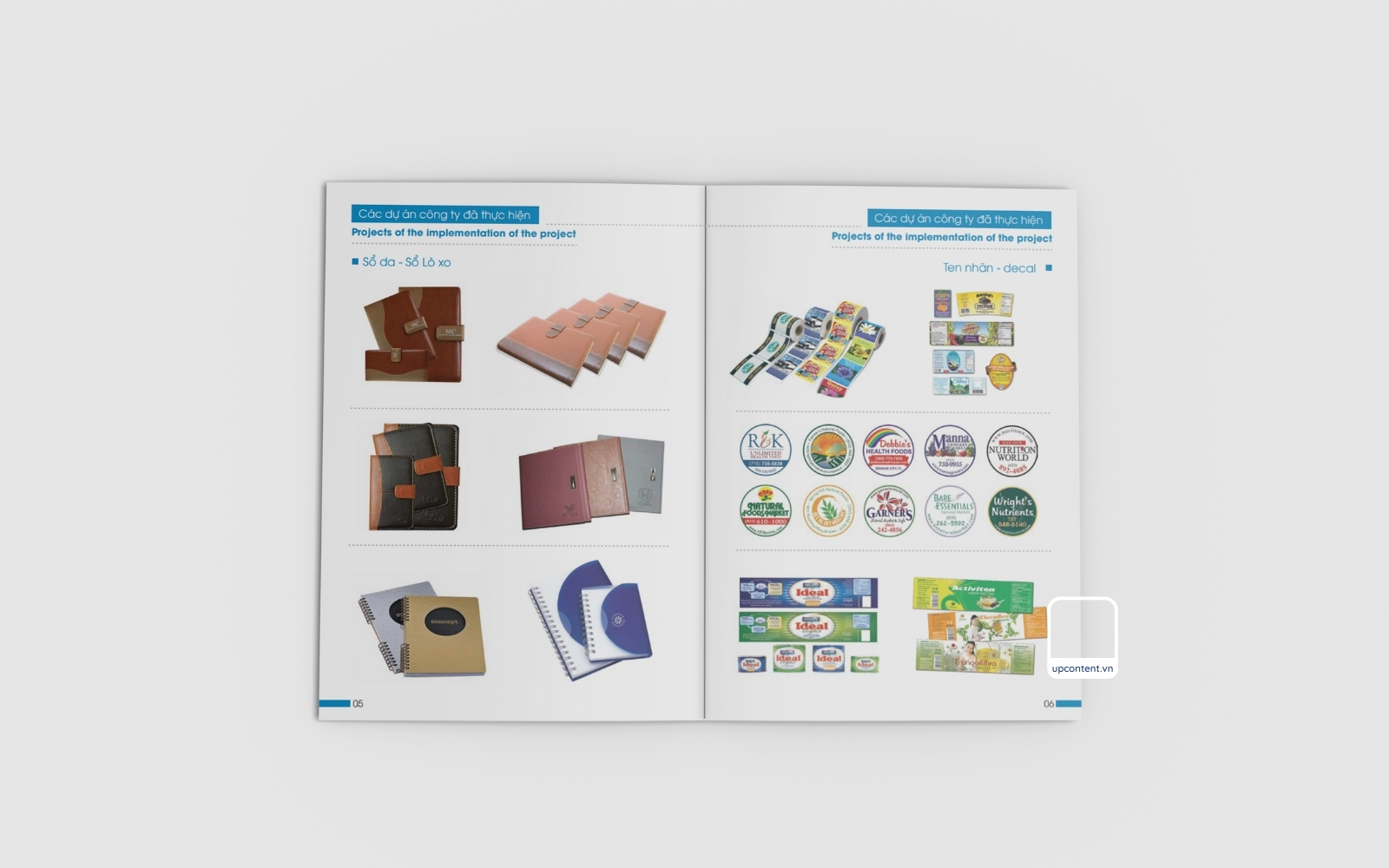 2 trang mẫu hồ sơ năng lực công ty in ấn cao cấp