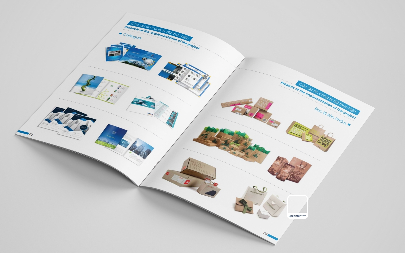 2 trang mẫu profile năng lực công ty in ấn cao cấp