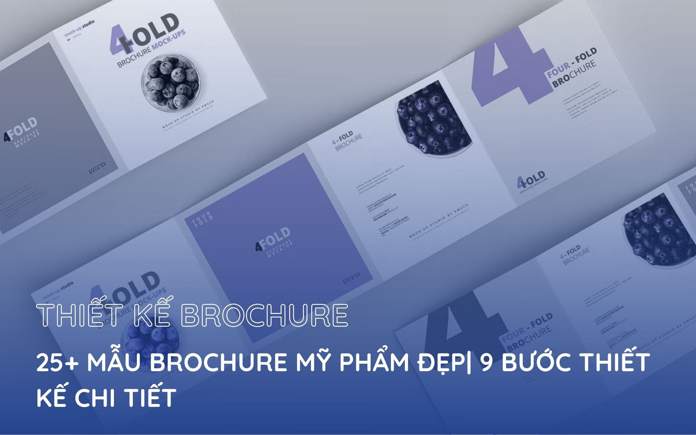 brochure mỹ phẩm