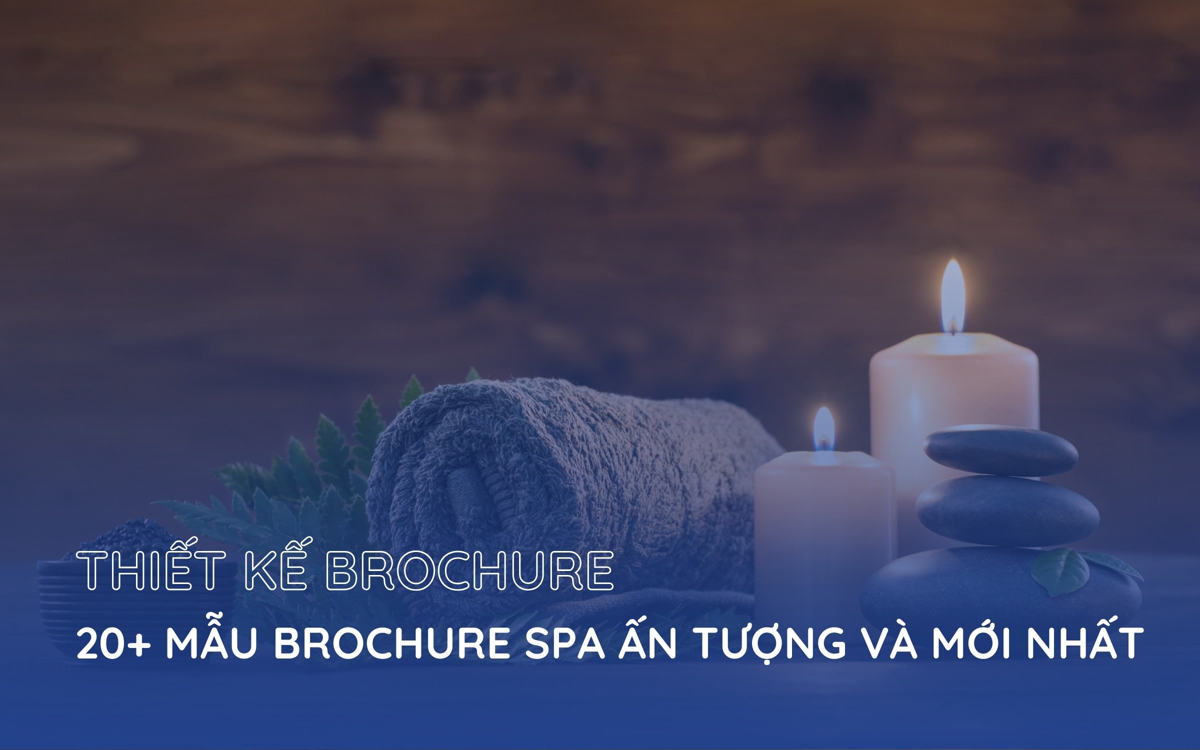 brochure spa đẹp