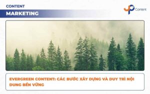 Evergreen Content