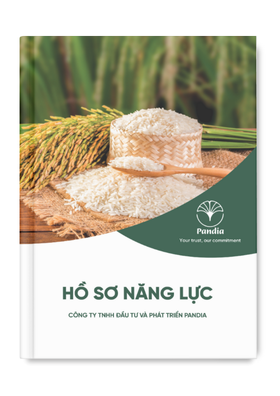 Bìa hồ sơ năng lực Pandia