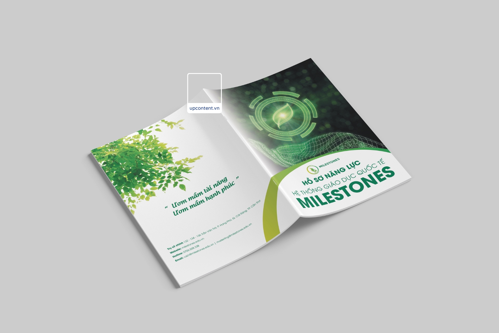 Hồ sơ năng lực công ty giáo dục Milestones