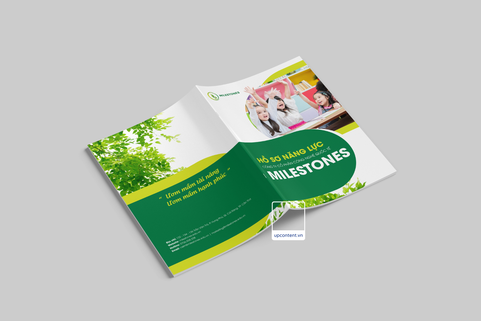 Mẫu Profile công ty giáo dục đẹp - 04